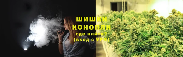 прущие грибы Абаза