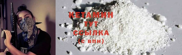 прущие грибы Абаза
