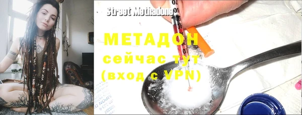 прущие грибы Абаза