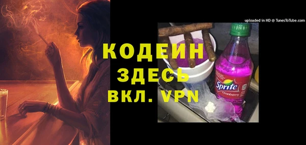 прущие грибы Абаза
