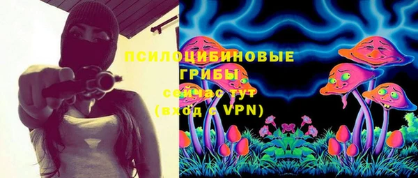 прущие грибы Абаза