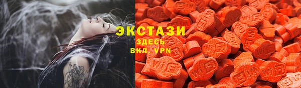 прущие грибы Абаза