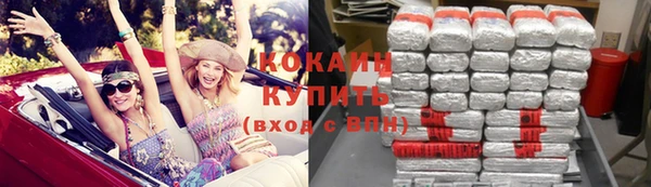 прущие грибы Абаза